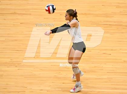 Thumbnail 1 in Davenport vs. Wimberley (UIL 4A Regional Final) photogallery.