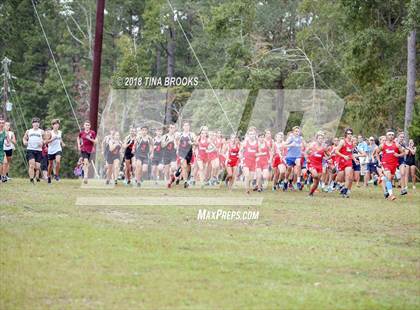 Thumbnail 2 in NCSHAA 3-A Coastal Conference Cross Country Championship photogallery.