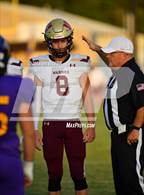 Photo from the gallery "Warner @ Vian"
