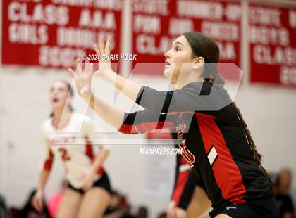 Thumbnail 1 in Fountain Hills vs Florence (The Florence VB Invitational) photogallery.