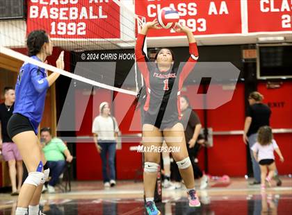 Thumbnail 3 in Fountain Hills vs Florence (The Florence VB Invitational) photogallery.