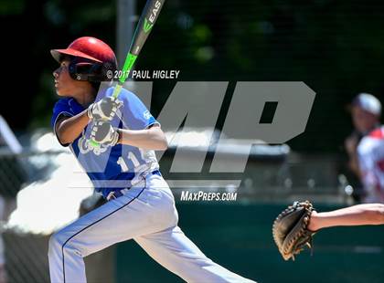 Thumbnail 1 in Loyalton vs. American Christian Academy (CIF NS D6 Final) photogallery.