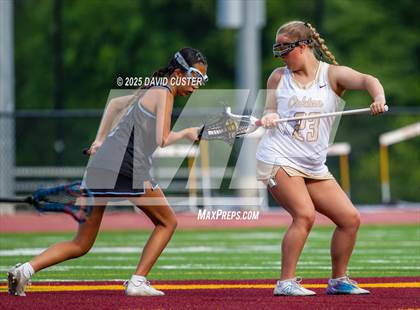 Thumbnail 1 in Centreville @ Oakton photogallery.