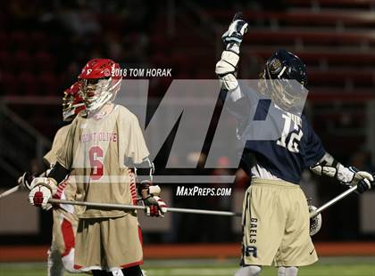 Thumbnail 2 in Roxbury @ Mount Olive photogallery.