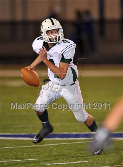 Thumbnail 2 in Blue Ridge @ Krum photogallery.