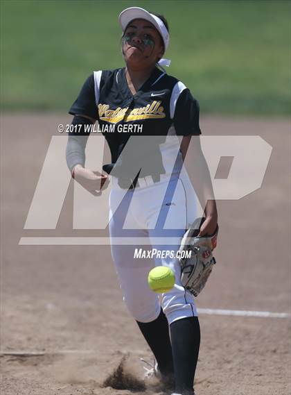 Thumbnail 2 in Homestead vs. Watsonville (CIF CCS D1 Final) photogallery.