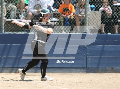 Thumbnail 3 in Homestead vs. Watsonville (CIF CCS D1 Final) photogallery.