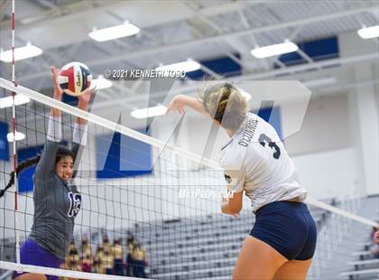 Thumbnail 3 in Warren @ O'Connor photogallery.