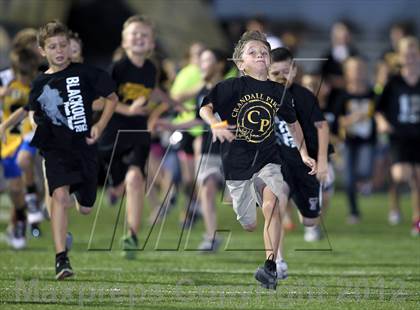 Thumbnail 2 in Ferris @ Crandall photogallery.