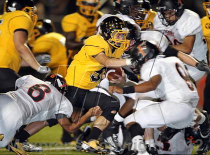 Thumbnail 1 in Ferris @ Crandall photogallery.