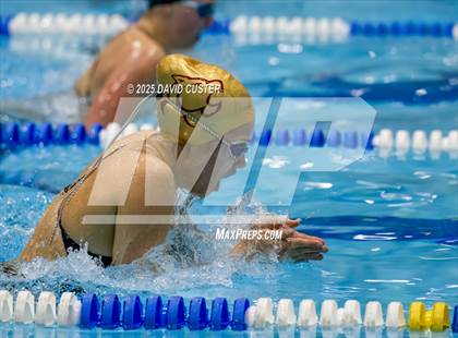 Thumbnail 2 in Westfield @ Oakton photogallery.