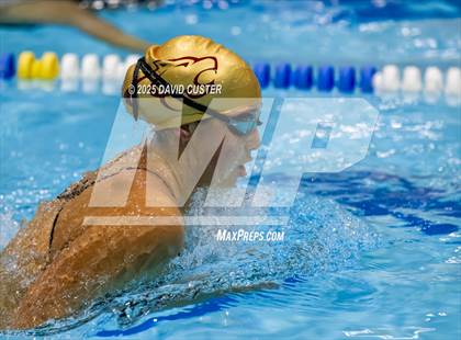 Thumbnail 3 in Westfield @ Oakton photogallery.
