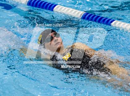 Thumbnail 3 in Westfield @ Oakton photogallery.
