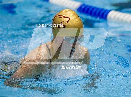 Thumbnail 3 in Westfield @ Oakton photogallery.