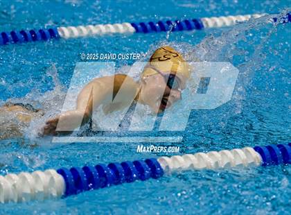 Thumbnail 1 in Westfield @ Oakton photogallery.