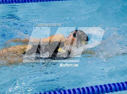Thumbnail 3 in Westfield @ Oakton photogallery.