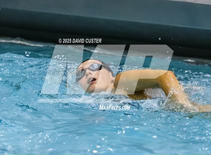 Thumbnail 2 in Westfield @ Oakton photogallery.