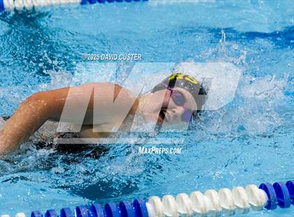 Thumbnail 3 in Westfield @ Oakton photogallery.