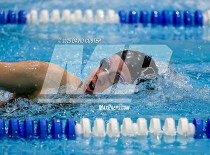 Thumbnail 3 in Westfield @ Oakton photogallery.