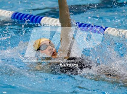 Thumbnail 2 in Westfield @ Oakton photogallery.