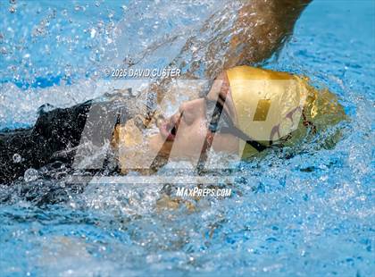 Thumbnail 3 in Westfield @ Oakton photogallery.