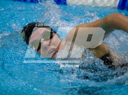 Thumbnail 1 in Westfield @ Oakton photogallery.