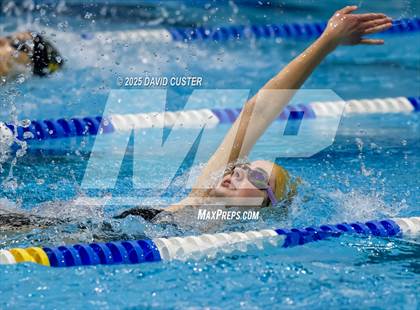 Thumbnail 1 in Westfield @ Oakton photogallery.