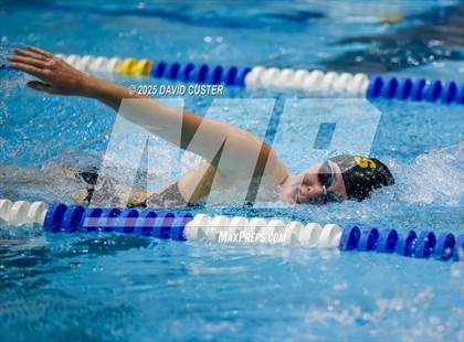 Thumbnail 3 in Westfield @ Oakton photogallery.