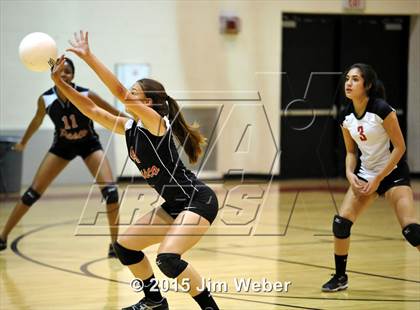 Thumbnail 3 in Mitchell @ Pasco photogallery.