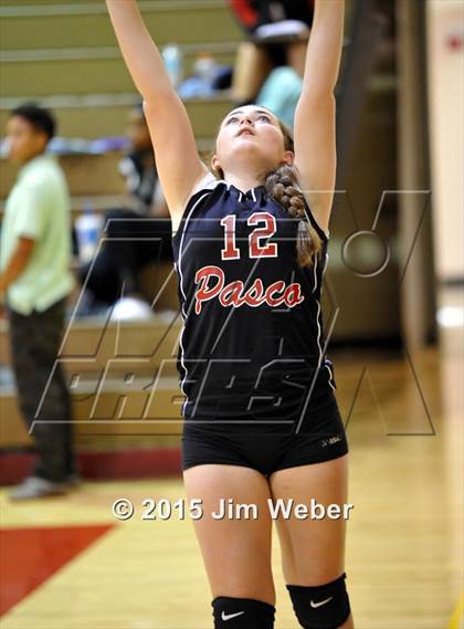 Thumbnail 3 in Mitchell @ Pasco photogallery.