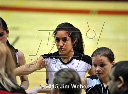 Thumbnail 3 in Mitchell @ Pasco photogallery.