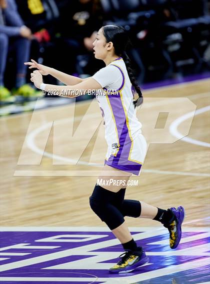 Thumbnail 1 in Santiago vs. Oakland Tech (CIF State D1 Final) photogallery.