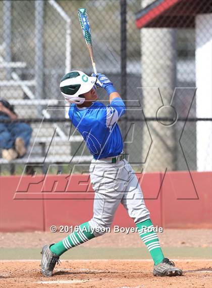 Thumbnail 3 in Coral Springs @ Stoneman Douglas photogallery.