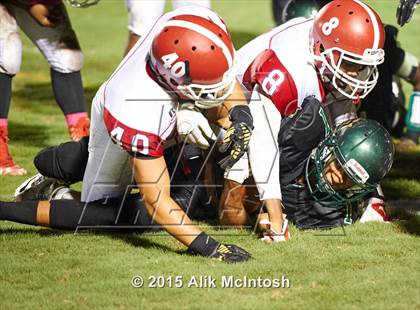 Thumbnail 3 in Western Harnett @ South Johnston photogallery.