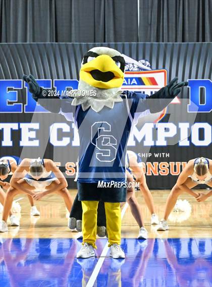 Thumbnail 2 in Cactus Shadows - Dance Game Day Championships (AIA Division I) photogallery.