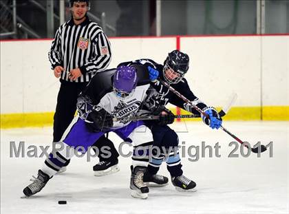Thumbnail 3 in Wilton @ North Branford photogallery.