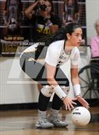 Photo from the gallery "Oxford @ Hernando"