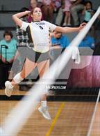 Photo from the gallery "Oxford @ Hernando"