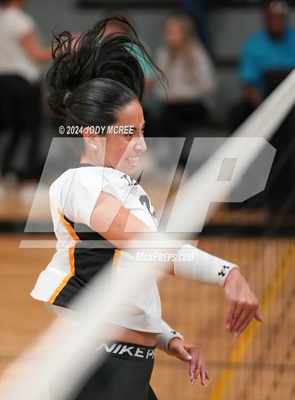 Thumbnail 3 in Oxford @ Hernando photogallery.