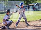Photo from the gallery "St. Vincent de Paul @ Montgomery"