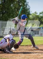 Photo from the gallery "St. Vincent de Paul @ Montgomery"