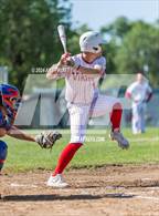 Photo from the gallery "St. Vincent de Paul @ Montgomery"
