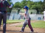 Photo from the gallery "St. Vincent de Paul @ Montgomery"