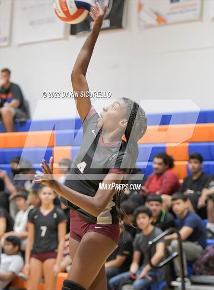 Thumbnail 1 in Hamilton vs. Westwood (Westwood Tournament of Champions) photogallery.