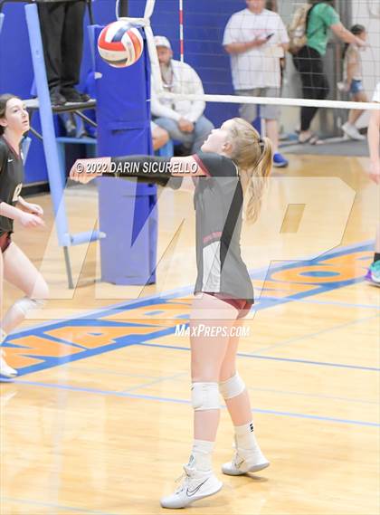 Thumbnail 3 in Hamilton vs. Westwood (Westwood Tournament of Champions) photogallery.