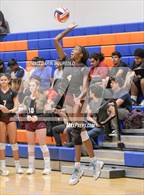 Photo from the gallery "Hamilton vs. Westwood (Westwood Tournament of Champions)"