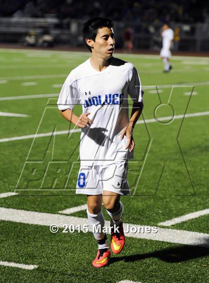 Thumbnail 2 in O'Connor vs. Chandler (AIA D1 Final) photogallery.