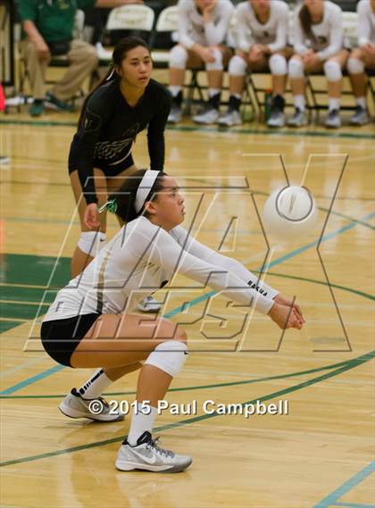 Thumbnail 1 in Basha @ Horizon photogallery.