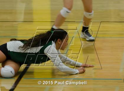 Thumbnail 1 in Basha @ Horizon photogallery.