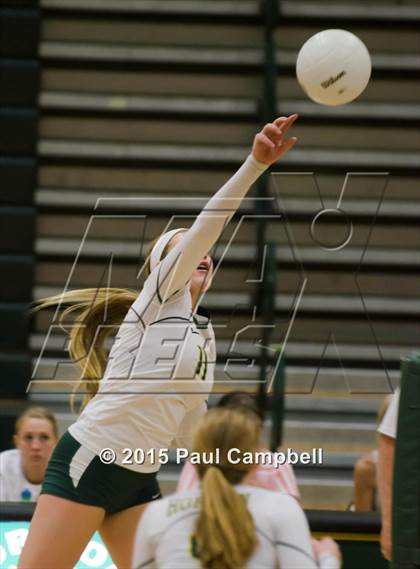 Thumbnail 2 in Basha @ Horizon photogallery.